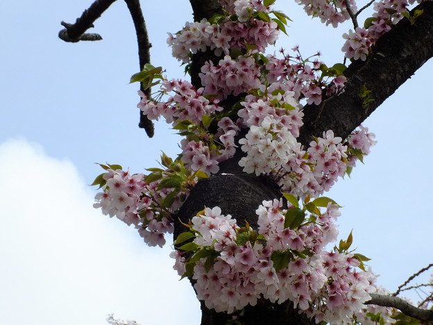 DSCF0058