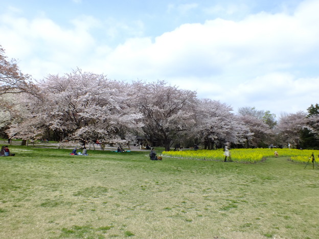 DSCF0421