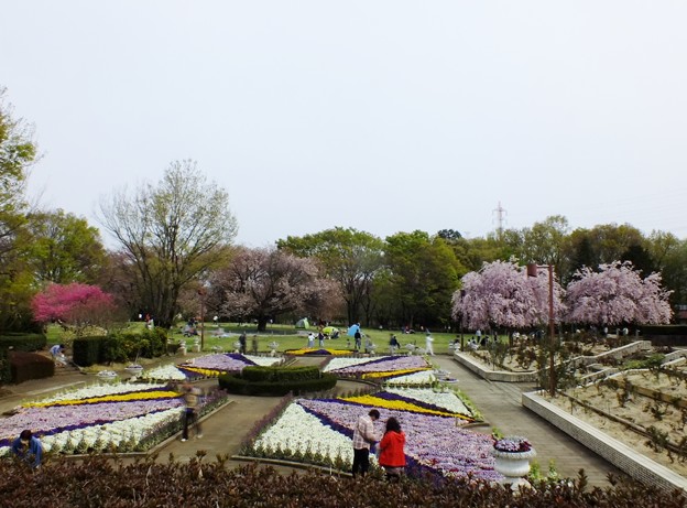 DSCF0505