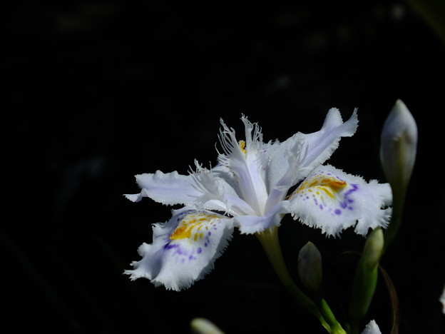 DSCF0049