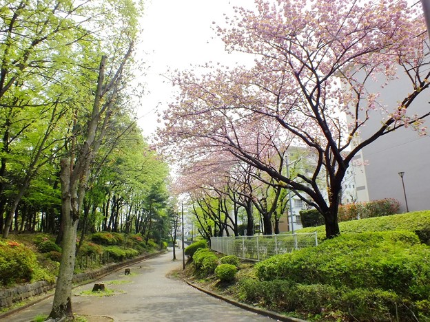 DSCF0041