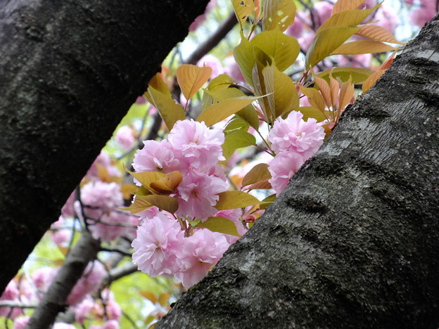 DSCF0228