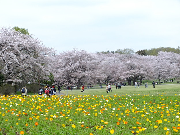 DSCF0348