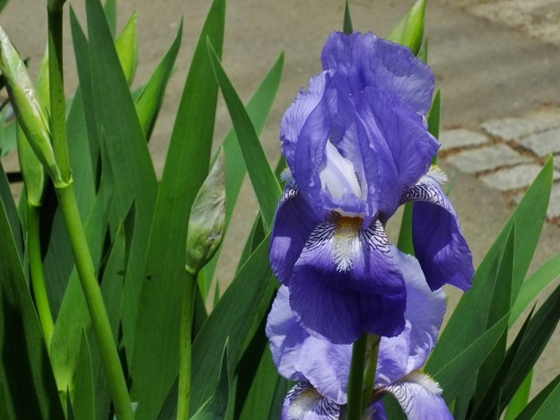DSCF0181