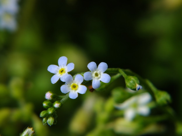 DSCF0407