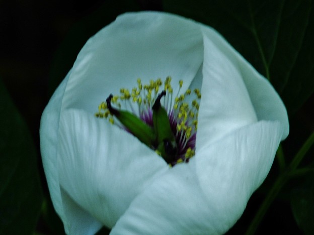 DSCF0185