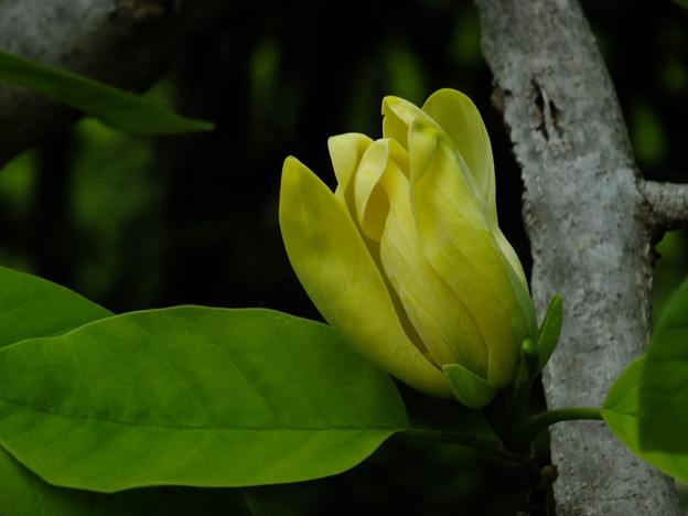 DSCF0168
