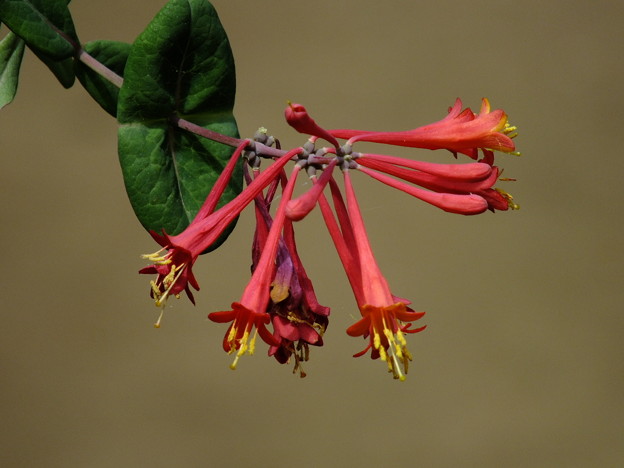 DSCF0469
