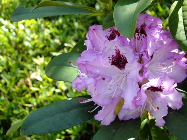 DSCF0175