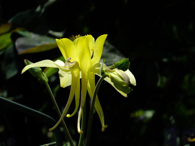 DSCF0085