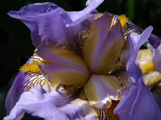 DSCF0056