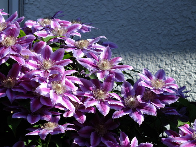 DSCF0255