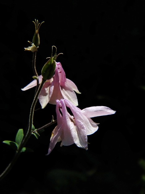 DSCF0061