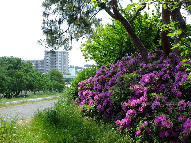 DSCF0011