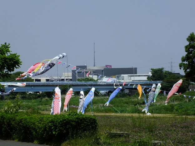 DSCF0088