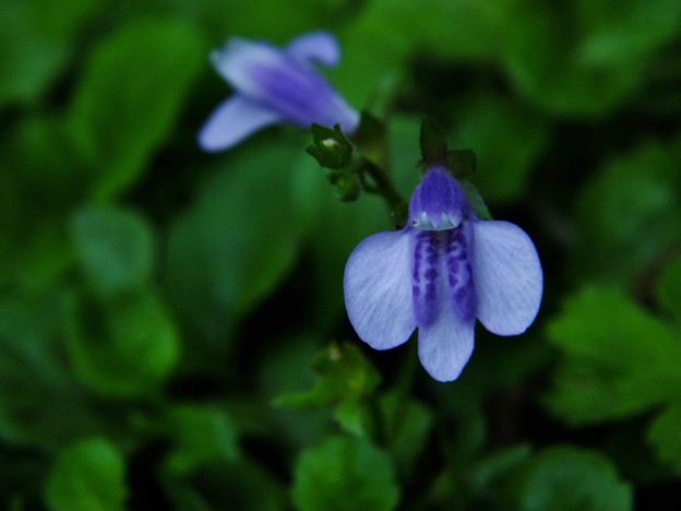DSCF0056