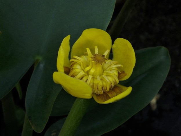 DSCF0494