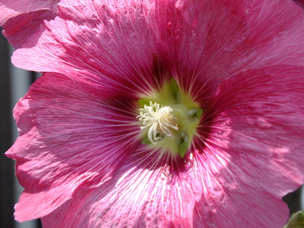 DSCF0089