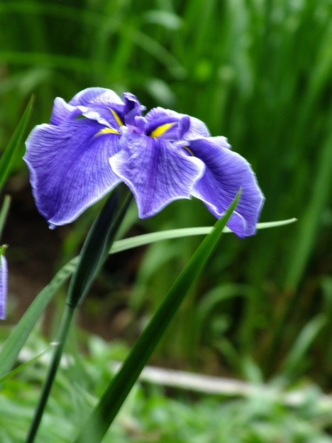 DSCF0579