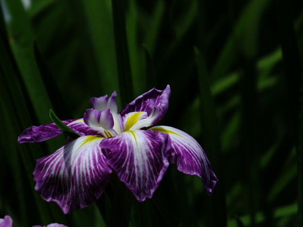 DSCF0062