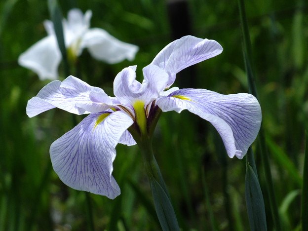 DSCF0246