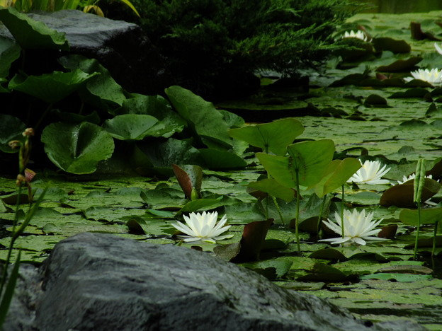 DSCF0033