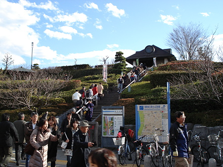 柴又公園