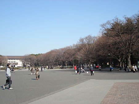 上野公園　中央広場
