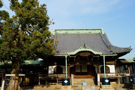 柴又帝釈天 本堂