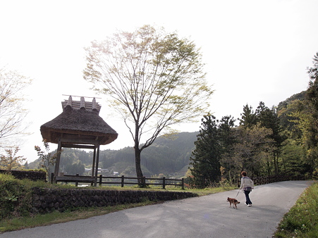 P5011553
