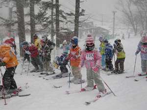 IMGP0920_R