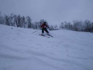 IMGP0984_R