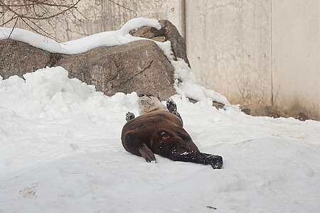 morioka120211460
