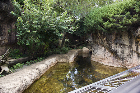 zoorasia110828402