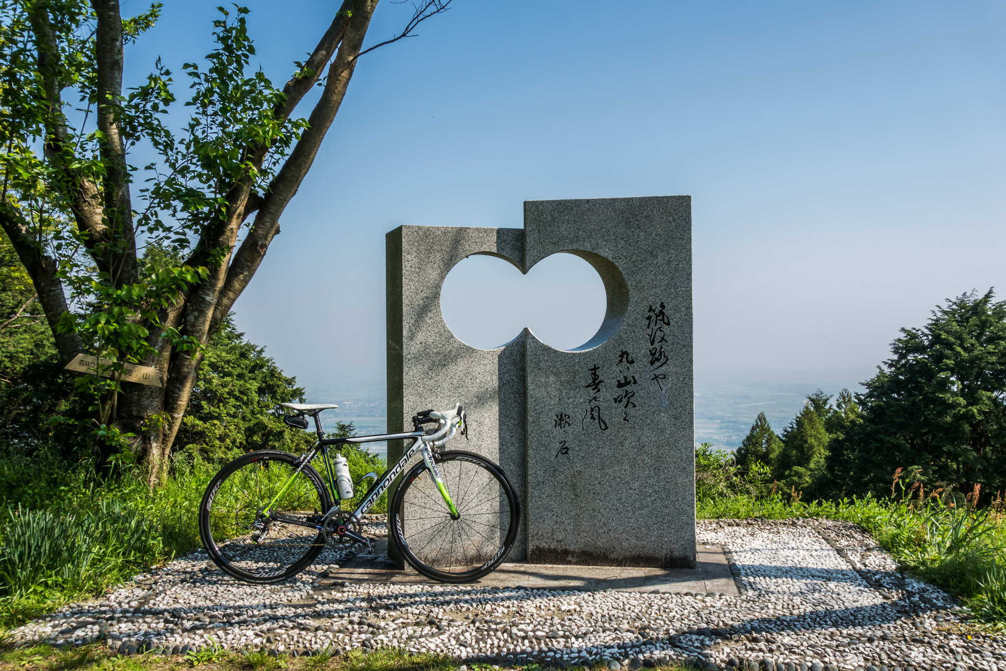 筑後路や丸い山吹く春の風