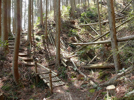 浜石岳ハイキングコース