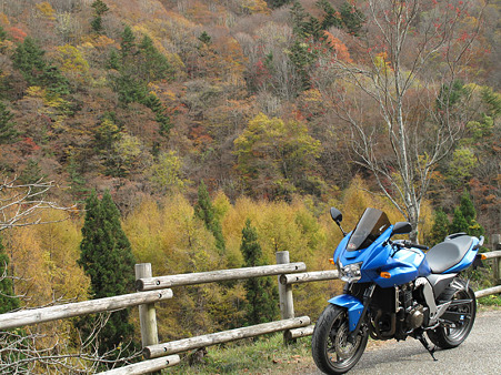 紅葉の山とZ