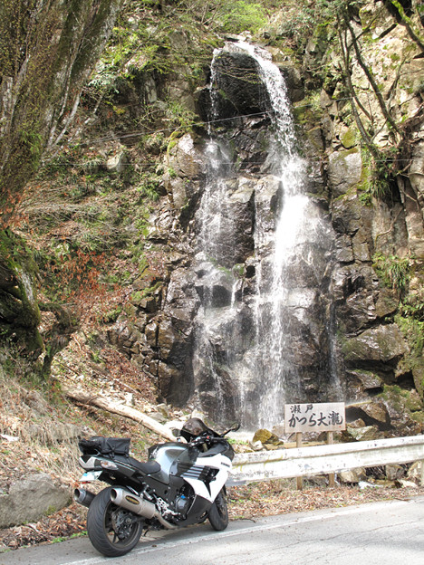 写真: IMG_9195 名前が付いたようです
