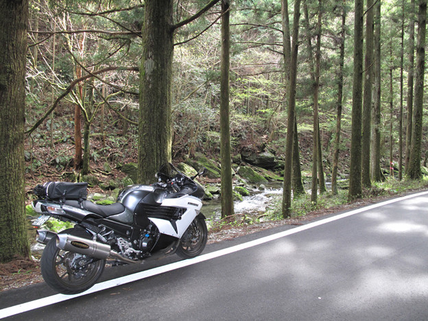 写真: IMG_9238 また山道K9