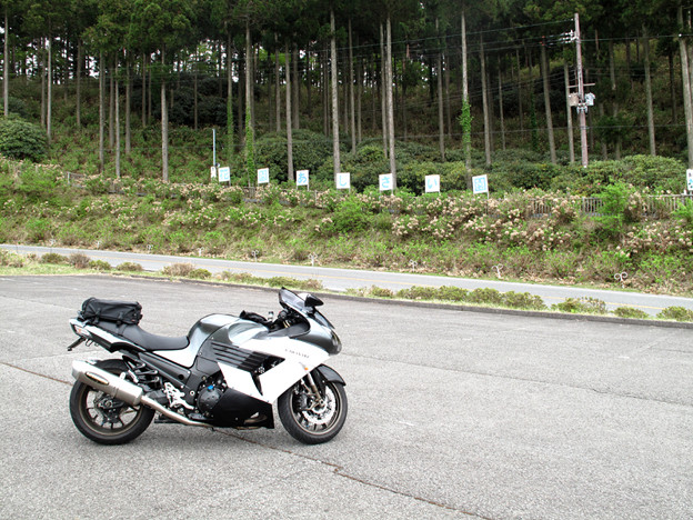 IMG_9396 2ヶ月早かったかなぁ 写真: IMG_9396 2ヶ月早かったかなぁ