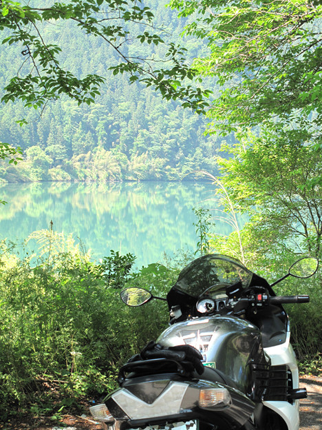 IMG_9440 中野方川を望む 写真: IMG_9440 中野方川を望む