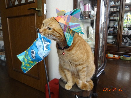 DSC08751