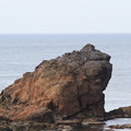 Photos: かえる岩