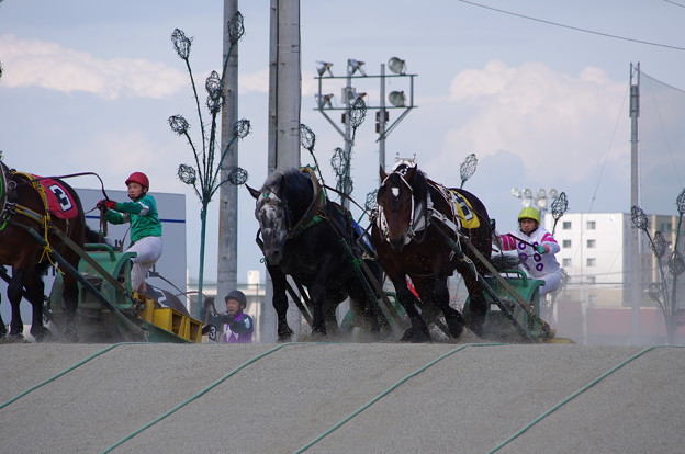 ばんえい競馬