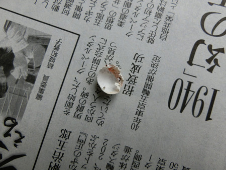 プレゼントあり