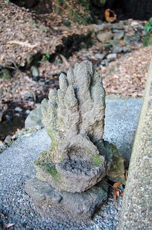 2012年01月08日_DSC_0333