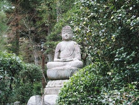 京都龍安寺2015年01月11日_P1110015