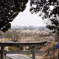 茨城県護国神社から見る水戸市街