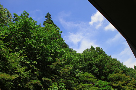 部屋から辛うじて見えるわずかな空