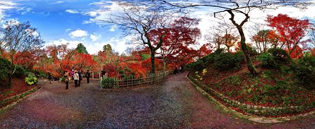 2011年12月5日　東福寺　紅葉　360°パノラマ写真